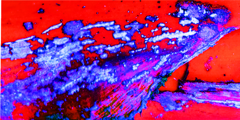intuitiveCS tweet picture