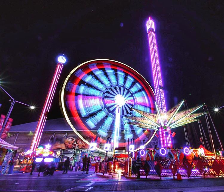 Sydney Fun tweet media