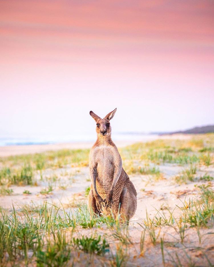 Sydney Fun tweet media