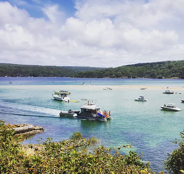 Sydney Fun tweet media