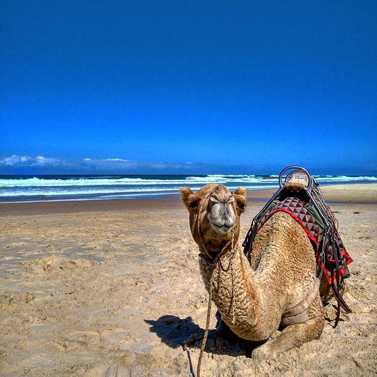 Sydney Fun tweet media