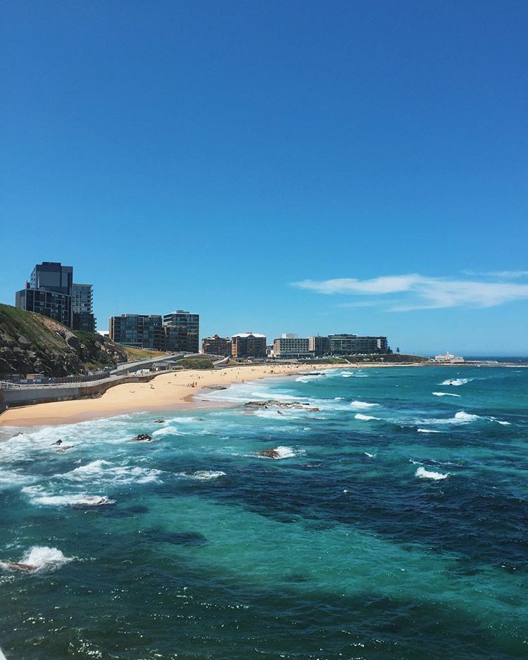 Sydney Fun tweet media