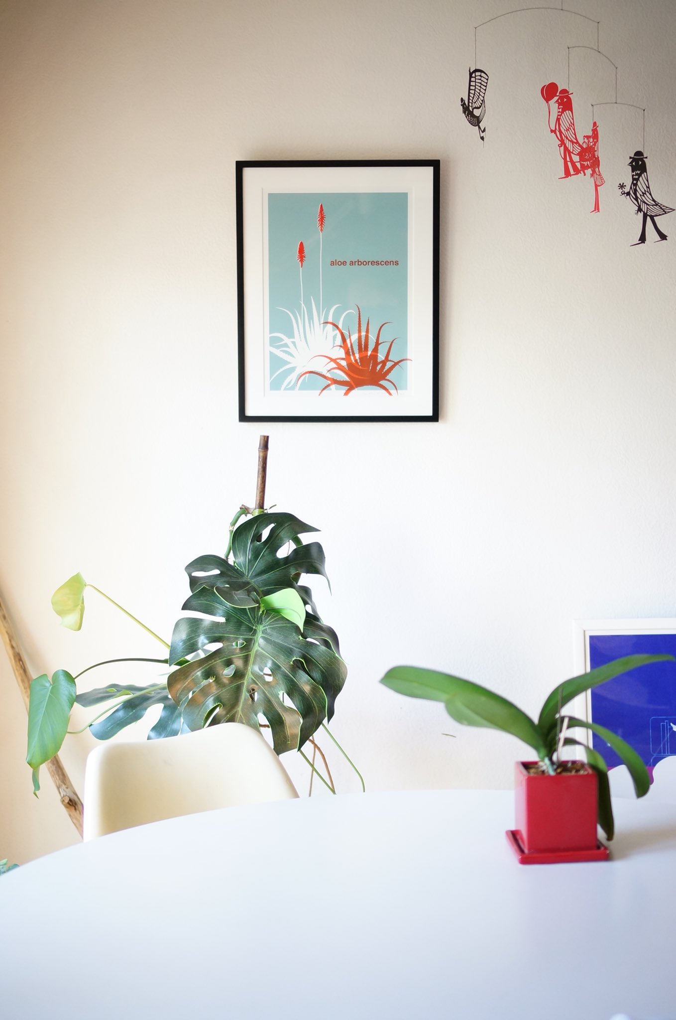 Tetsuro Oh No アロエの咲くこの時期 アロエのグラフィックはいかがですか モンステラデリシオーサオンラインショップ Monstera Hawaii California モンステラ ミッドセンチュリー カリフォルニアスタイル イラスト アロエ Aloe 多肉植物