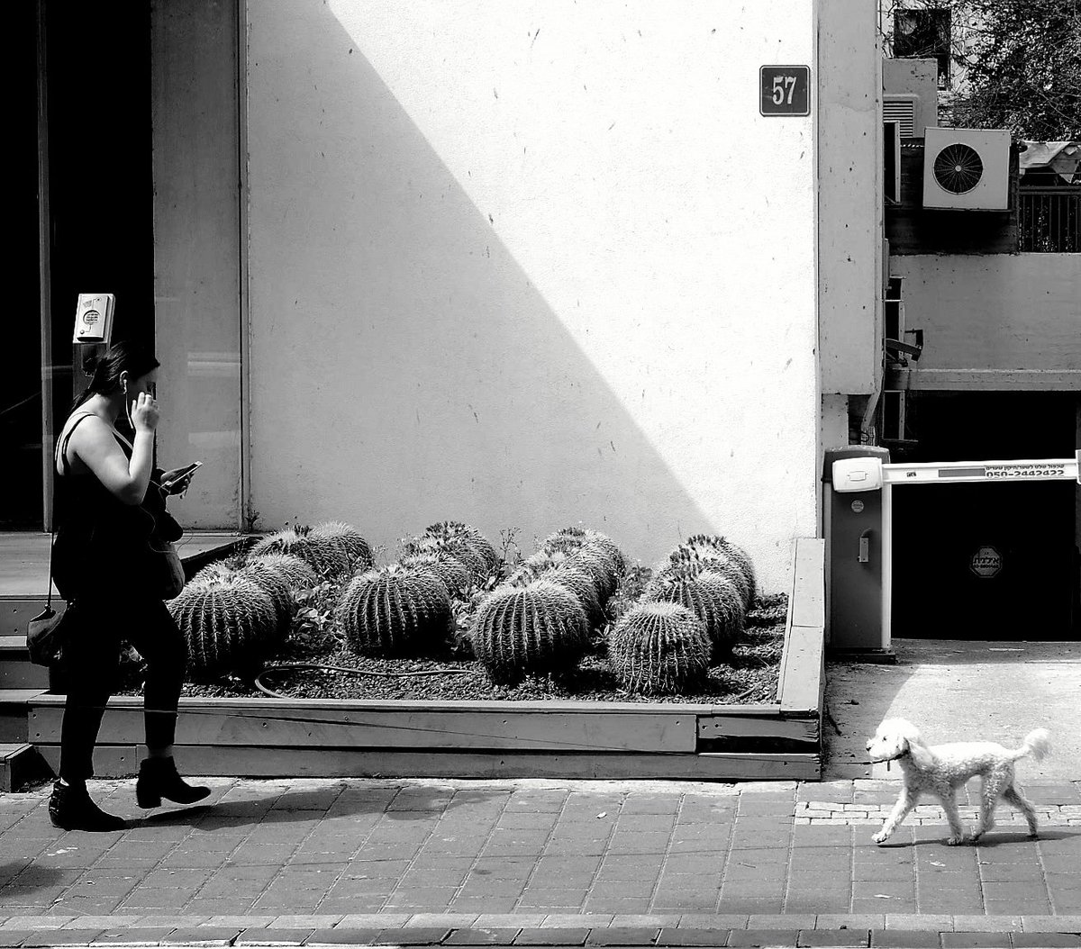 jonnie663's tweet photo. Yin Yang...ish 
#streetphotography #streetphoto #TelAviv #tlv #Israel #Israeli #fujifilm #fuji #fujifilm_xseries #BlackandWhitePhotography #blackandwhitephoto #blackandwhite #BnW https://t.co/gtenE4LQM2