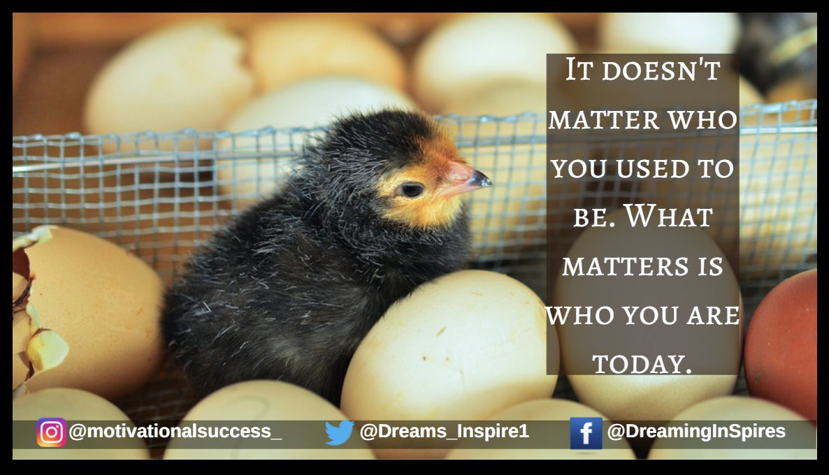 Dreams_Inspire1's tweet photo. A #hatchling doesn't think "oh, yesterday I was an egg, so I can't do anything today."... So #letgo of who you used to be. What matters is who you are today!
What will you do with that #freedom? #inspirational #lettinggo #pastbehindus https://t.co/CxBKRKxtIs