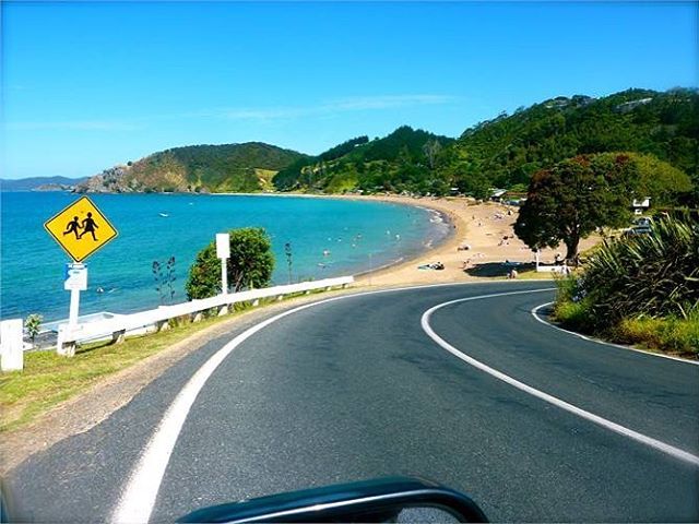 zazzoe's tweet photo. Long Beach, Russell #longbeachnz #russellnz #marlinmaison #kingimooncottage #boathousenest @theboathousenest @marlinmaisonkingi #beach #newzealand #swimming #sand #summer #fun #holiday #family #friends #airbnbnz #airbnb #bookabach #travel #roadtrip https://t.co/Yb97YlhqbU