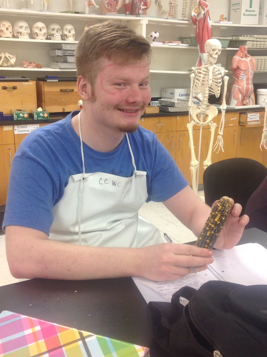 KevinMouser2's tweet photo. #goggleface Counting Kernels for genetics https://t.co/OKQUTNTb4m