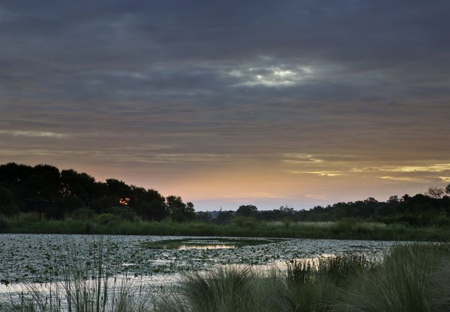 "If you don’t know where you are going, you will probably end up somewhere else" - #FridayMotivation - Good Morning Peeps &amp; #HappyFriday 
#Friyay #Travel #DigitalMarketing #BusinessMatters 
youtube.com/channel/UCjkDz…
<a href="/r_kambule/">Rebecca🌹</a> @afrivenues <a href="/mphappenings/">Kruger's Hub</a> <a href="/BsorahCamp/">B'sorah Adventures</a>