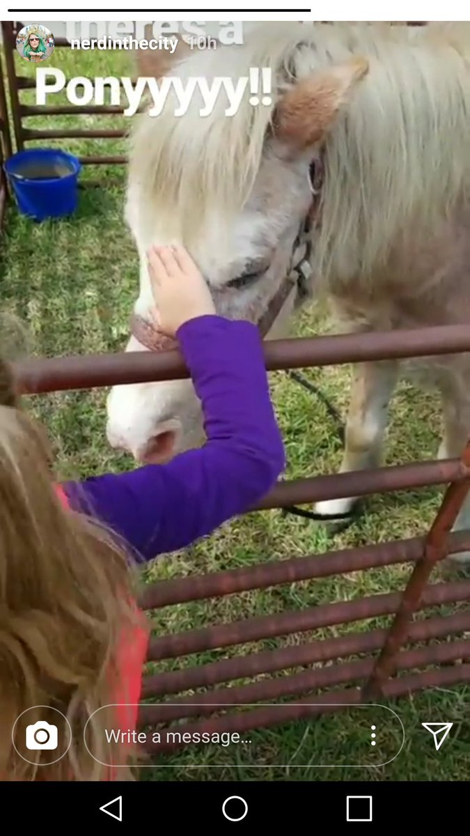 Alomaeclc's tweet photo. The kids loved Autumn Oaks petting farm today at Aloma ECLC!  #loveanimals https://t.co/dlzxv3r8id