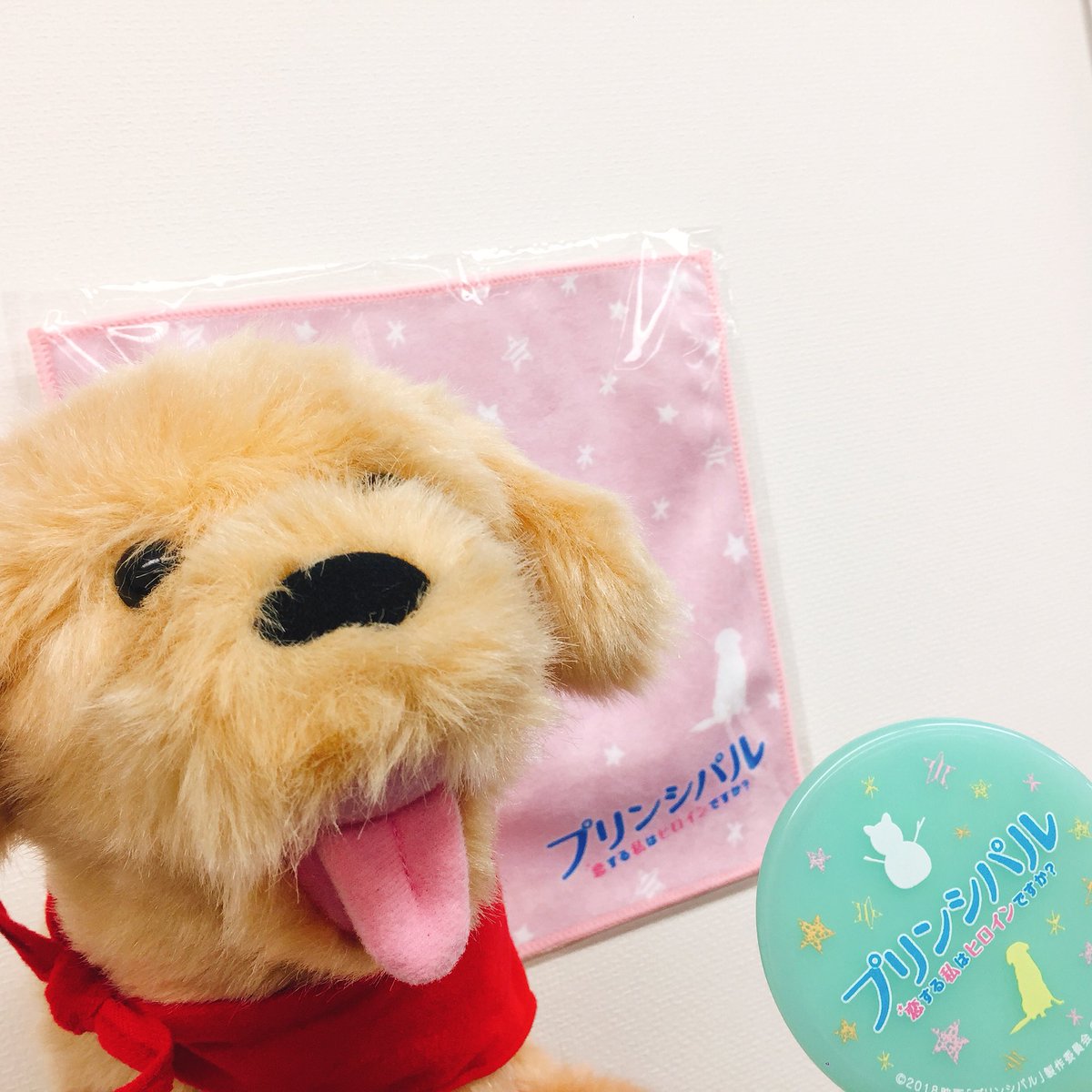 principal_movie's tweet photo. ✨🎊 絶賛上映中 🎊✨
最高最大の感想を投稿して💓
　　🎁をもらおう😳

【#プリンシパルみたよ】のハッシュタグをつけて本作の感想を投稿してくれたフォロワーさんの中から抽選で非売品オリジナルグッズを🎁💕

🎁エコバック 5名
🎁ミラー&amp;タオル 20名

🐶アカウントのフォローをお忘れなく
〆3/19 https://t.co/adDkCj5k5x