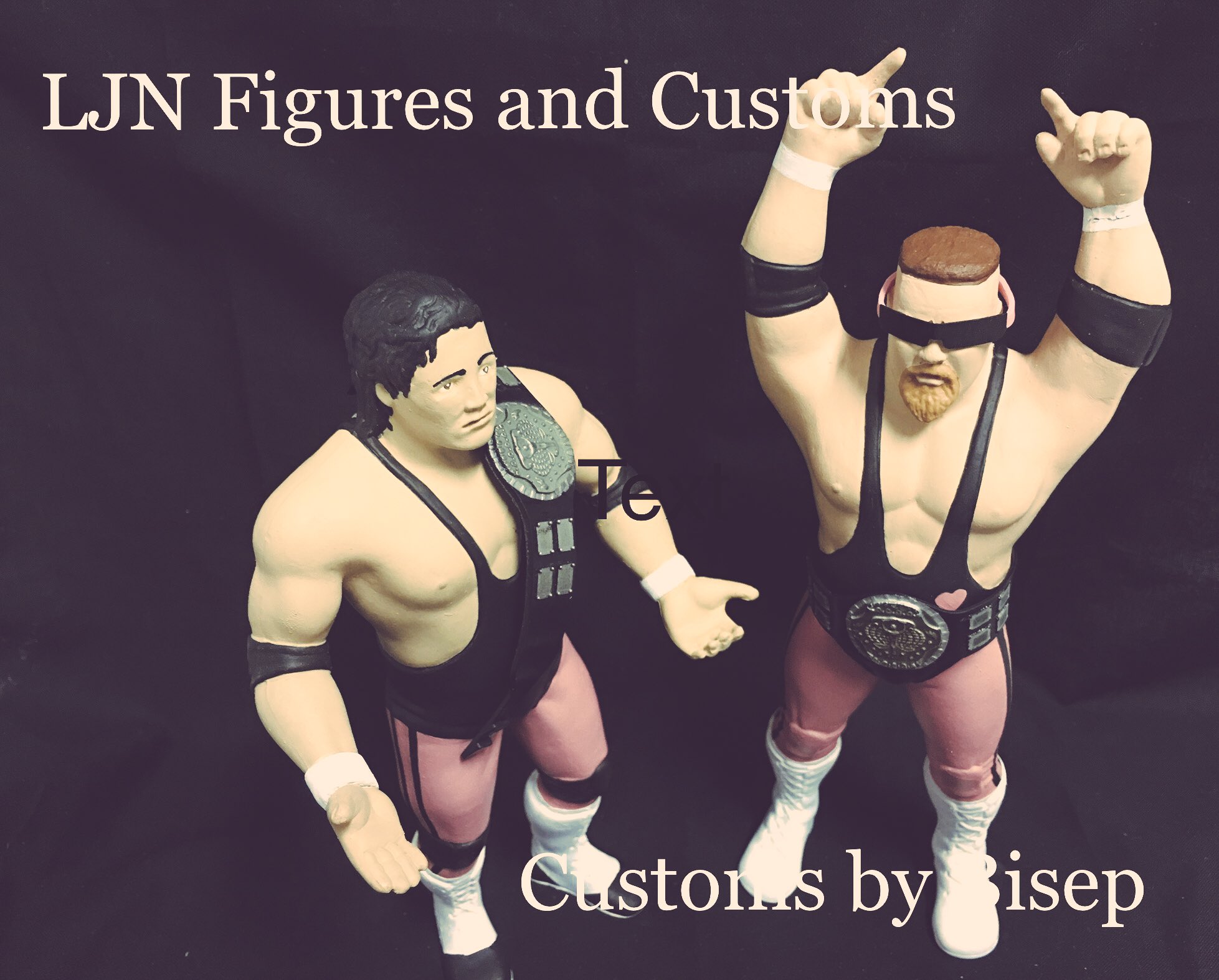 bret hart ljn