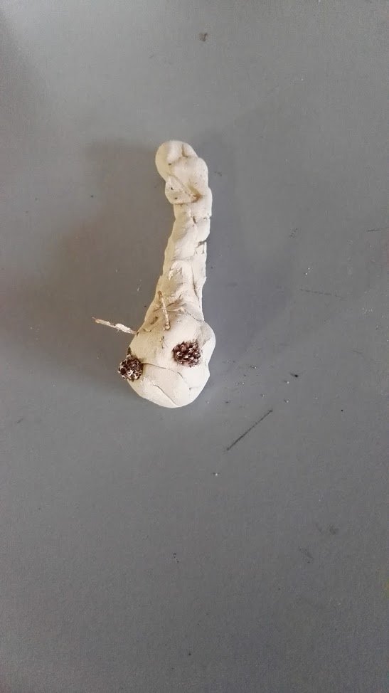 Andrew Depta tweet media