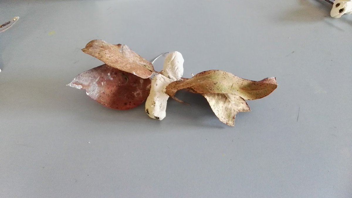 Andrew Depta tweet media