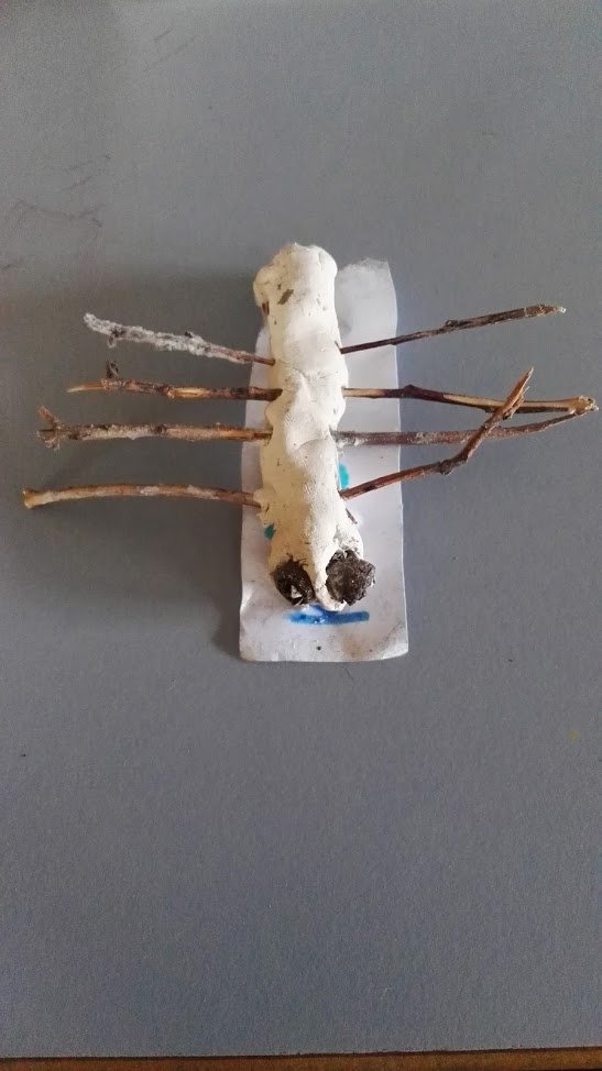 Andrew Depta tweet media