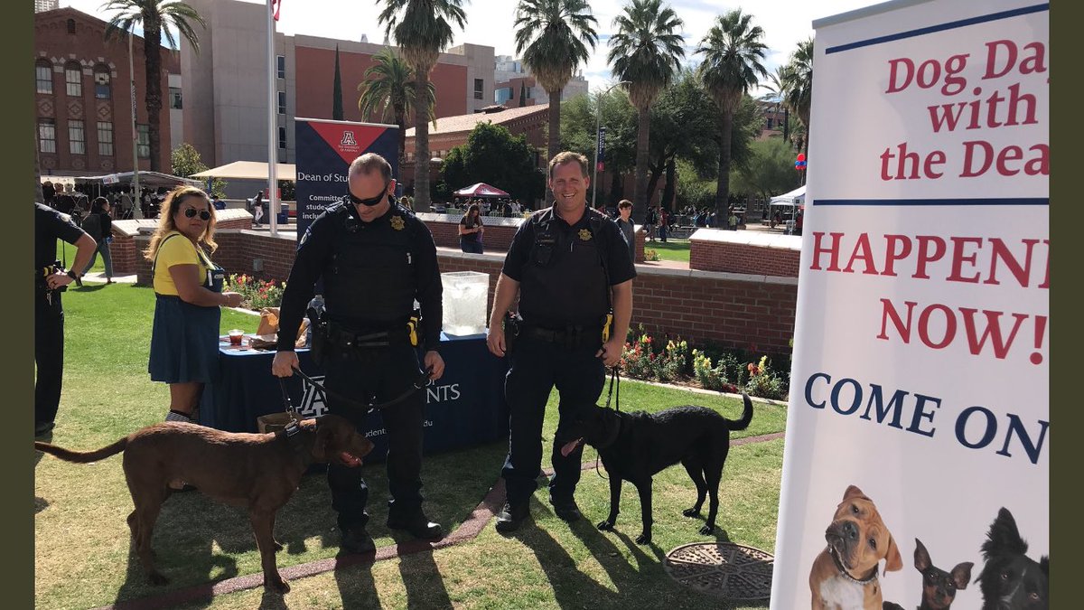 UofA_Safety's tweet photo. In case you missed it... K9 Toby and @K9Trigger have been nominated for a Hero Dog Award! The only Law Enforcement dogs from Arizona! Please help us get them votes! We want them to win! Click the links below! 
🐶
https://t.co/ya4fWXhMGx                 
https://t.co/IwesSpUvUJ https://t.co/GMAMImd2Or