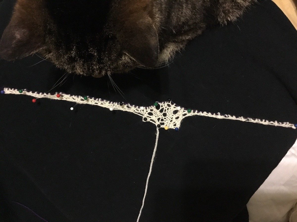 A very long string with a center medallion of random lace. Looks like it could be an eyepatch. There is a cat in the scene.