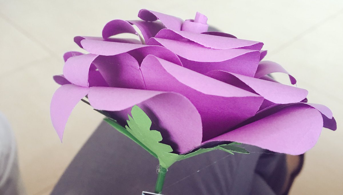 paomver's tweet photo. Me levante pensado en las mujeres que admiro y decidi dejarles un msj personal, no les di mejor cosa que tiempo. Luego recibí esta flor de una mujer, pensé: pereza cortar y pegar, luego la guarde xq pensé que de eso se trataba! el tiempo es sinónimo de afecto. #mi8M https://t.co/FDKC3NYbQU