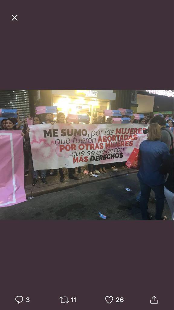 Hoy vi Estupidez Compleja de <a href="/malepichot/">malena pichot</a> y también vi este cartel en la marcha. Fueron a luchar por alguien que no existe. Ni siquiera puedo escribir la frase, me duele el cerebro.