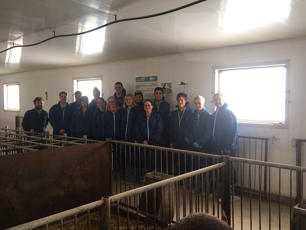 d_farq's tweet photo. Big Thank you to @Alltech and their ambassador @RachelBenschop for setting up a tour of Skinners Humane Sow Barn for the @OACSwineClub 🐷💕 https://t.co/TSfcTgd5RS