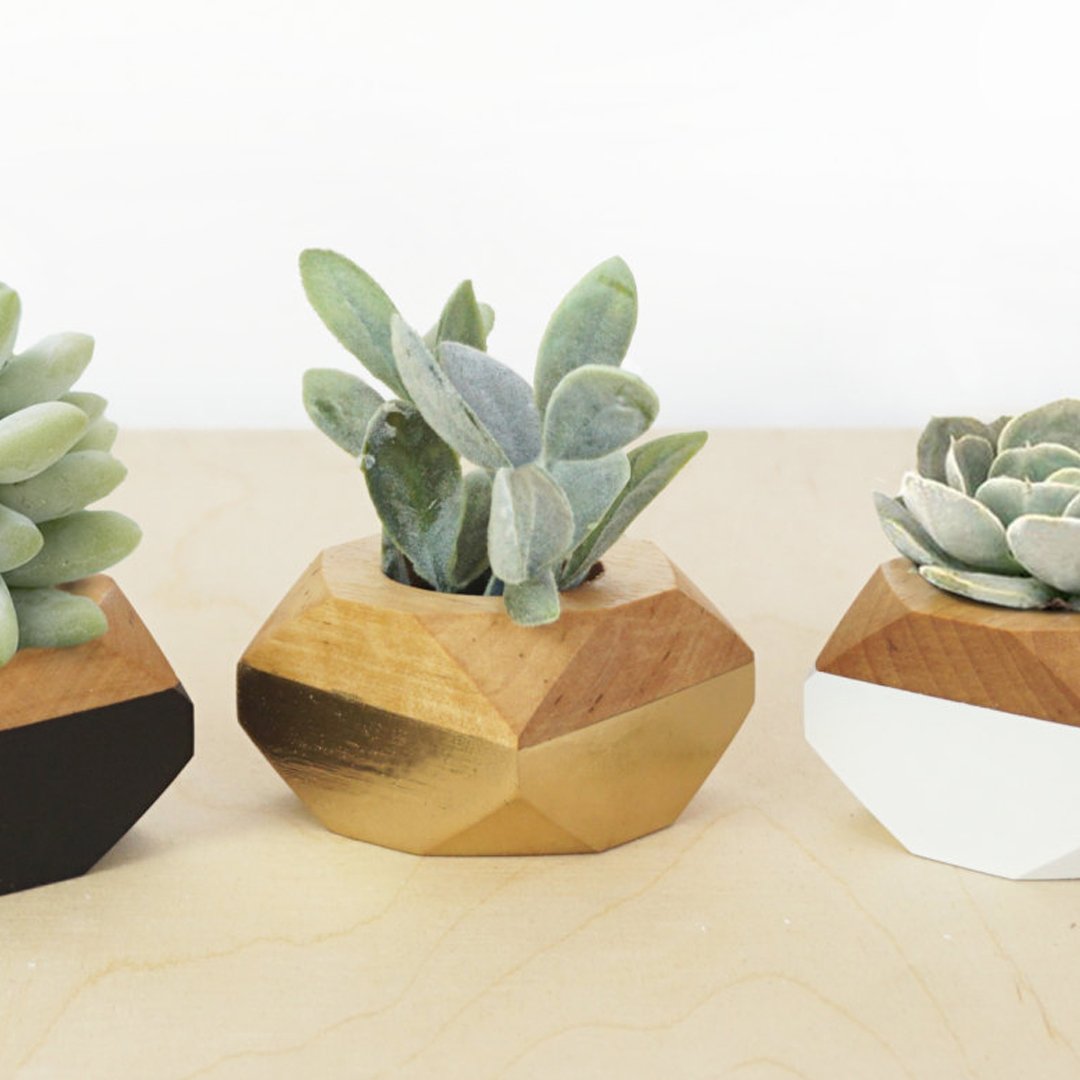 Etsy's tweet photo. Retweet if you love succulents 🌵 https://t.co/PHoUqXxx0F https://t.co/7d7VigAMmN