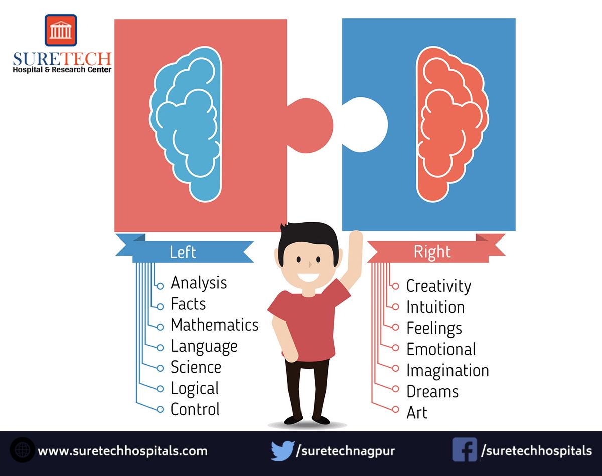 Suretechnursing's tweet photo. Understanding the working of our brain. The left brain &amp; right brain has it's functions defined. #humanbrain #suretechhospitals https://t.co/Zbd9U4Bauw