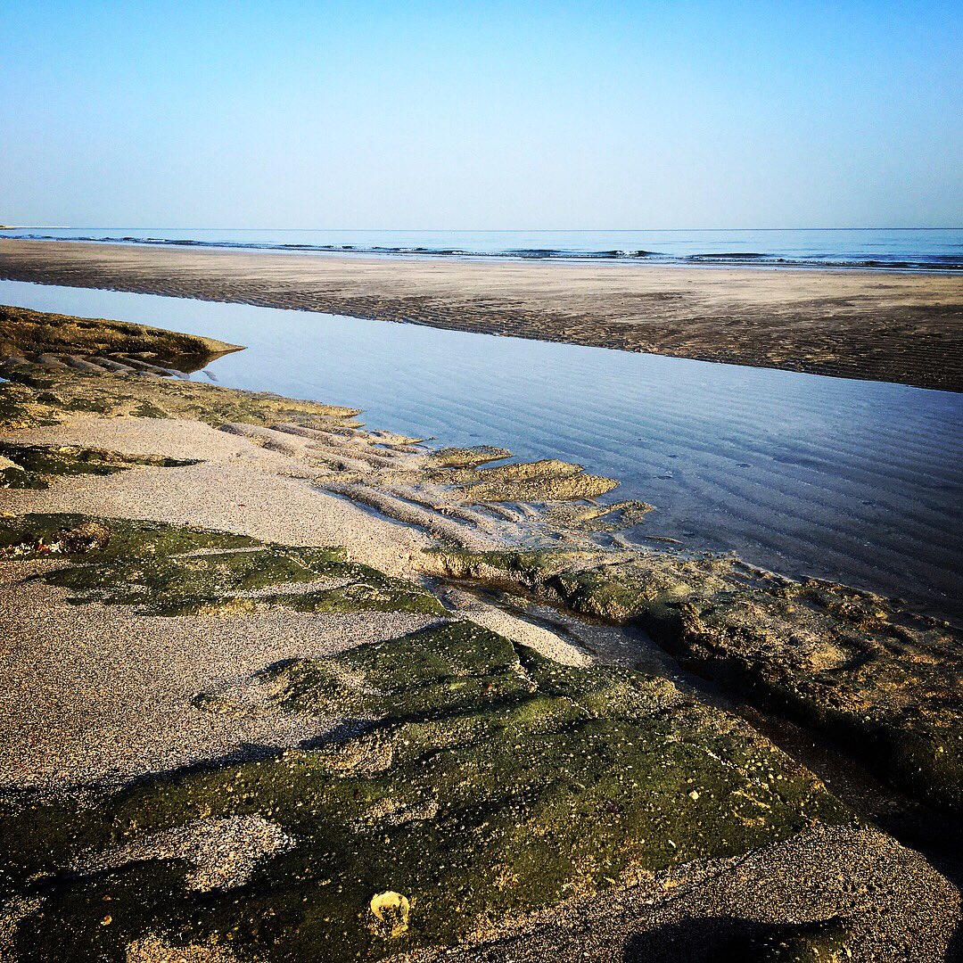 hippi_baby's tweet photo. Finds on the beach this morning... #shell #shellseeker #beachlife #beachbum #stingray #expatlife #travel #traveller #livelovetravel https://t.co/7J6MOtqhNq