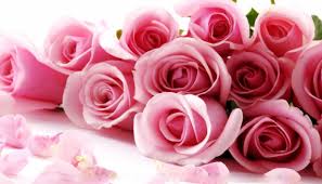 Nishipearls's tweet photo. For every woman who loves flowers!
#happyWomensDay2018 #HappyInternationalWomenDay #Flowers https://t.co/GRUSmvgVCV