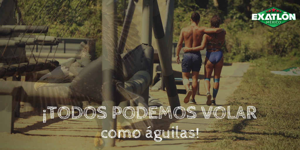 ExatlonMx's tweet photo. Los Contendientes volaron como águilas hacia la gran final, ¡juntos!

#SoyExatlón 💪 https://t.co/XlT0PqOC3z