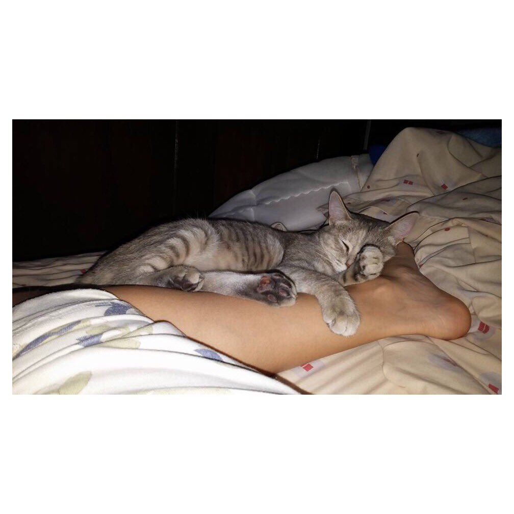 morettesperanza's tweet photo. Vamos a dormir, para soñar contigo mi Coral, te extraño! #esperanzamorett #actress #actrizmexicana #lovemylife #DiDeLaMujer #teextrañomiCORAL #mepongorebelde #lavidaesunviaje #voyavolardijoelgusanotodosserieronmenoslamariposa #MICORILICO #amorpuro #siempreenmicorazon https://t.co/WUktp8TQoi