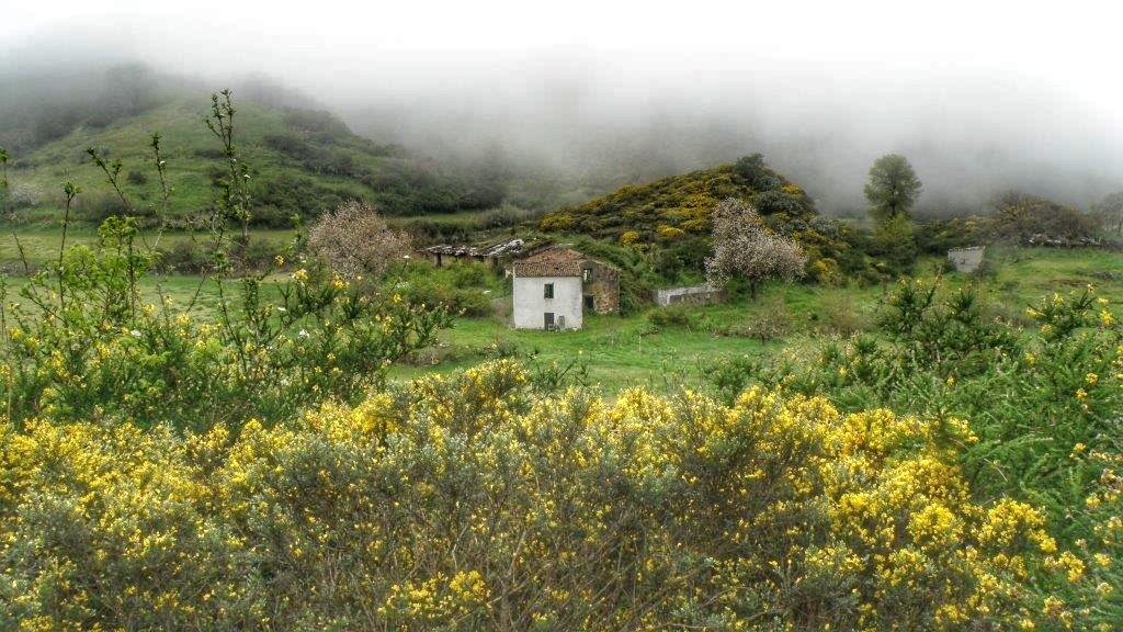 fotosdegc's tweet photo. Impresionantes y hermosos los senderos que podemos descubrir en el municipio de Valleseco, #GranCanaria https://t.co/y7TnoqOM6n
