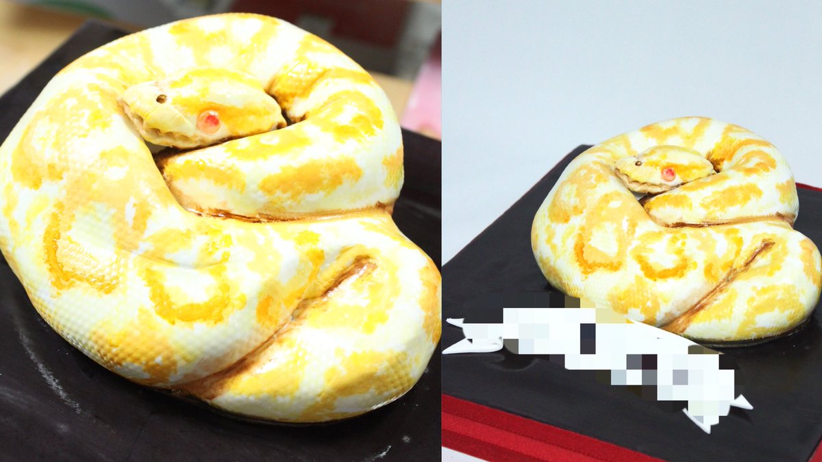 M Cakes Japan エムケーキ En Twitter 蛇 ケーキ 黄色い蛇に触るとお金持ちになれるらしいw 本物はなかなかサワレナイ ので ケーキでなら笑 蛇 ニョロニョロ アミメニシキヘビ レティック 爬虫類 蛇ケーキ スネーク Snake Reptiles Cake T Co M Cakes Japan エムケーキ En Twitter 蛇 ケーキ 黄色い蛇に触るとお金持ちになれるらしいw 本物はなかなかサワレナイ ので ケーキでなら笑 蛇 ニョロニョロ アミメニシキヘビ レティック 爬虫類 蛇ケーキ スネーク Snake Reptiles Cake T Co