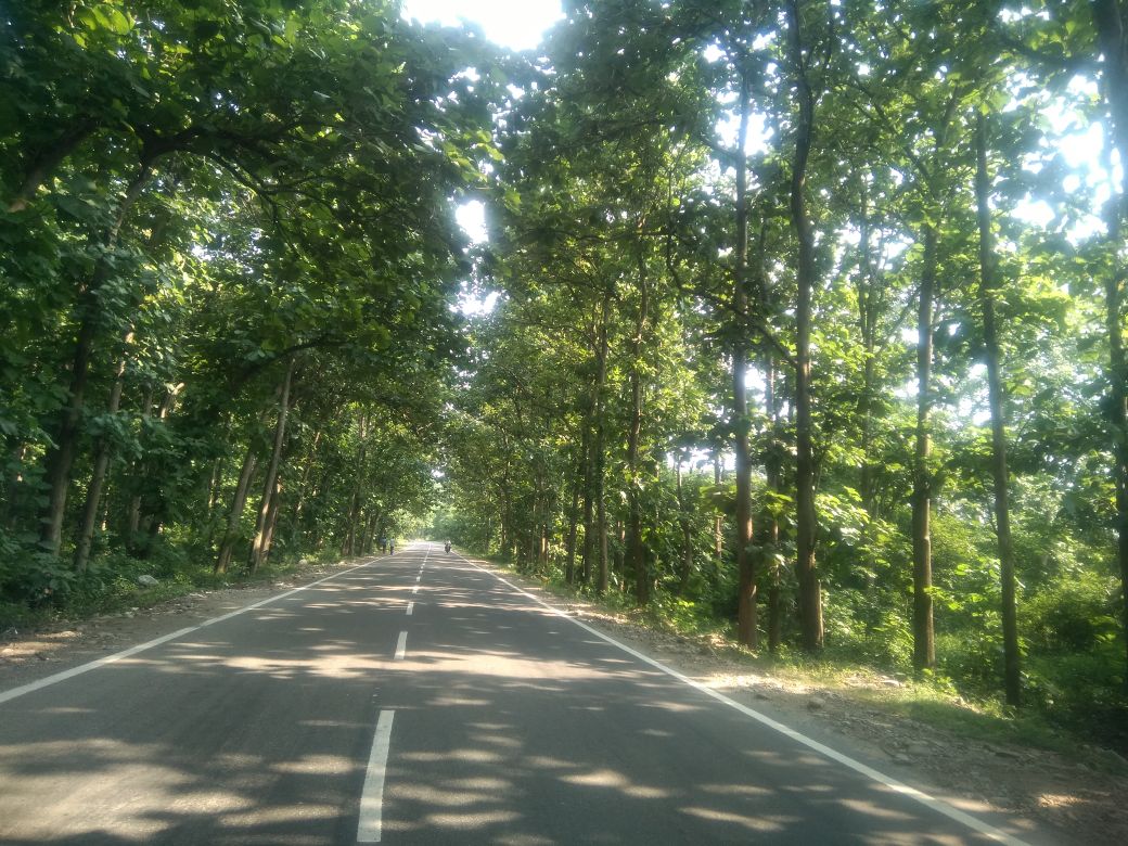 Ramnagar_'s tweet photo. Ramnagar is a small town &amp; municipal board in the 65 km away @Nainital district of @Uttarakhand_Tou India.

https://t.co/AOpb85QbEG

Ramnagar is also the Gateway to Jim @CorbettTourism National Park.

#ramnagar #nainital #jimcorbettnationalpark #Corbettnationalpark #Uttarakhand https://t.co/ymqIqAFpHG