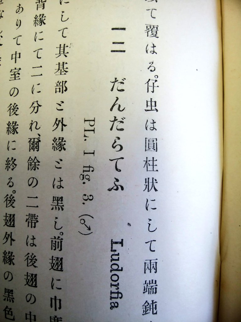 岐阜県博物館 某高等学校から寄贈された明治後期に発刊されたチョウの図鑑には ギフチョウのことが だんだらてふ という名称で紹介されていました 名和靖が名付けた ぎふてふ を採用しない考え方もあったんですね 岐阜県博物館 ギフチョウ 岐阜県博物館 某高等学校から寄贈された明治後期に発刊されたチョウの図鑑には ギフチョウのことが だんだらてふ という名称で紹介されていました 名和靖が名付けた ぎふてふ を採用しない考え方もあったんですね 岐阜県博物館 ギフチョウ