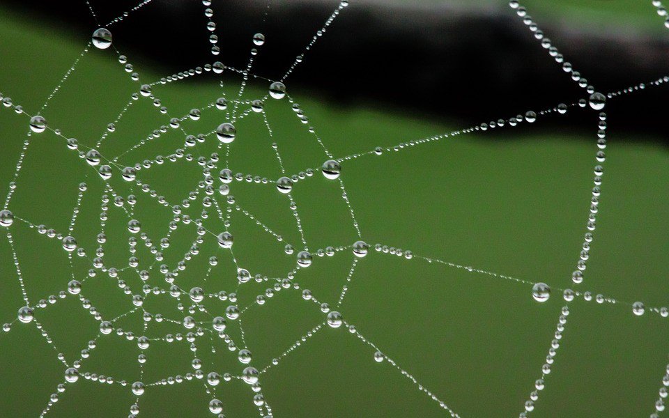 baselogic's tweet image. Spring Webflux: Getting started: This post will be about how I got started with Spring Webflux. A few weeks ago, I started to read in detail about Spring Webflux, Reactive Streams, etc.… bit.ly/2DejxUT #java #tutorial #java_9 #reactive_streams #asynchronous #baselogic