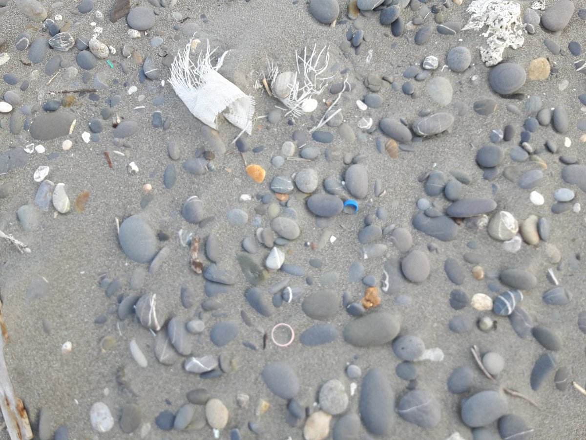 TrevorCPadgett's tweet photo. Fairly remote and unused - save for fishing and and a few tanks during army drills - beach here in southern Taiwan, but still the wretched waste of our species blankets it. The Pacific takes our trash, and gives it back. #taiwan #beachgarbage #anthropocene https://t.co/GXrLY3oNd4