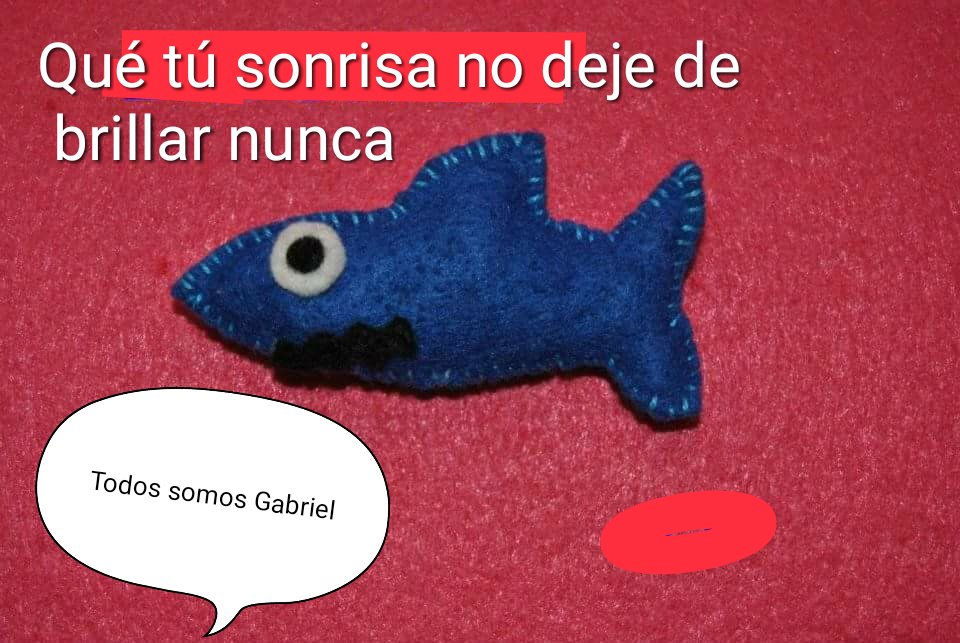 MaritaSanxez's tweet photo. #TodossomosGabriel https://t.co/BTe06Q4gvM