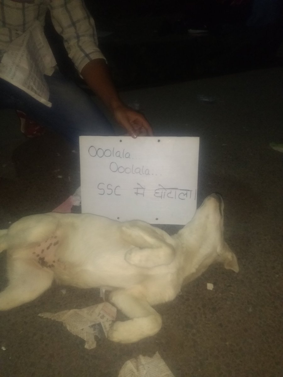 sscscam tweet media