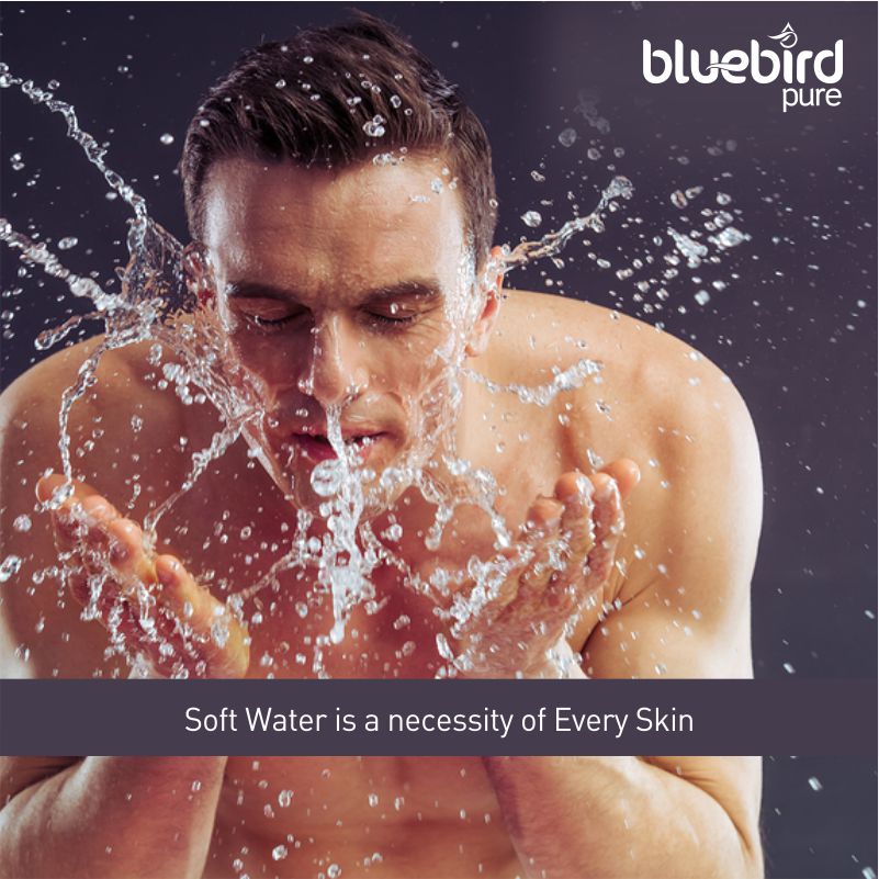 BluebirdPure's tweet image. Soft Water is a necessity of Every Skin
#watersoftener #bluebirdpure #drinkpure #rosystem