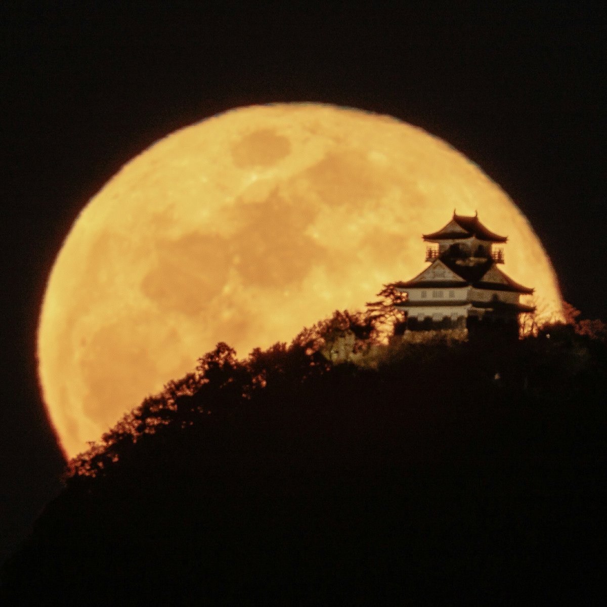 ぐっち Full Moon And Gifu Castle 満月と岐阜城 先日の満月と岐阜城 月が昇る時間帯が岐阜城 のライトアップより遅くなったので しばらく月城はお預け また満月が待ち遠しいです 岐阜城 月城 月 満月 岐阜 キヤノン シグマ 岐阜の魅力を