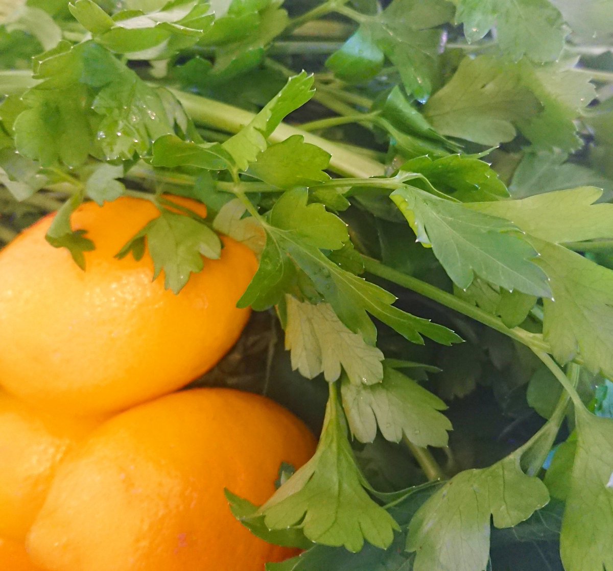 Angel Fish Shop tweet media