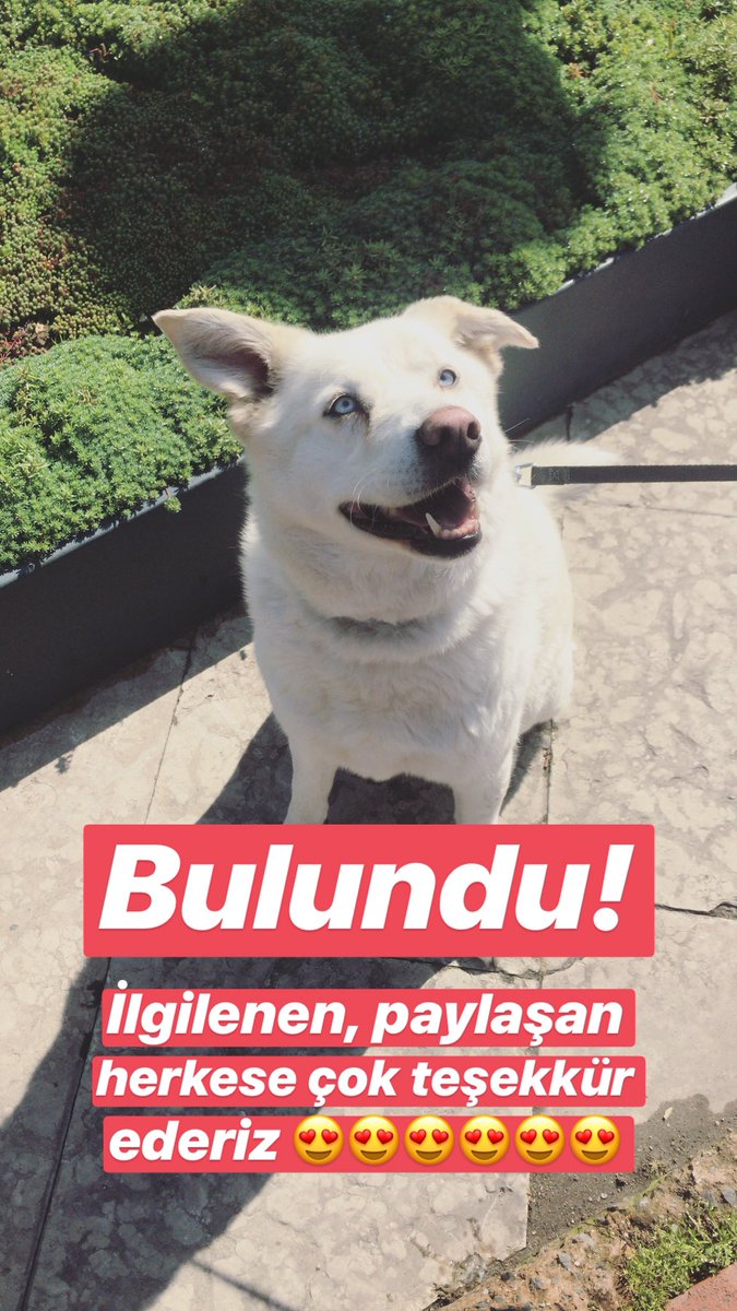 Kızımız bulundu 💙 İlgilenen, paylaşan herkese teşekkür ederiz 🙏🏼😍