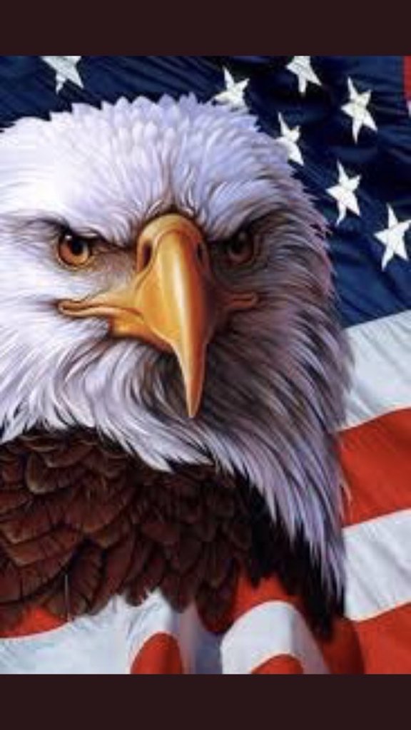 Brendy438's tweet photo. @CharlieD2749 @LaydiHD @beachkatie @DogloverUSA @eavesdropann
#FF_Friends God bless 🙏 Happy Friday ❤️🇺🇸🇺🇸🇺🇸🚂 GM ☕️🍩 https://t.co/gRsP6neMC5