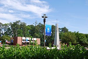 Wayne Clark tweet media