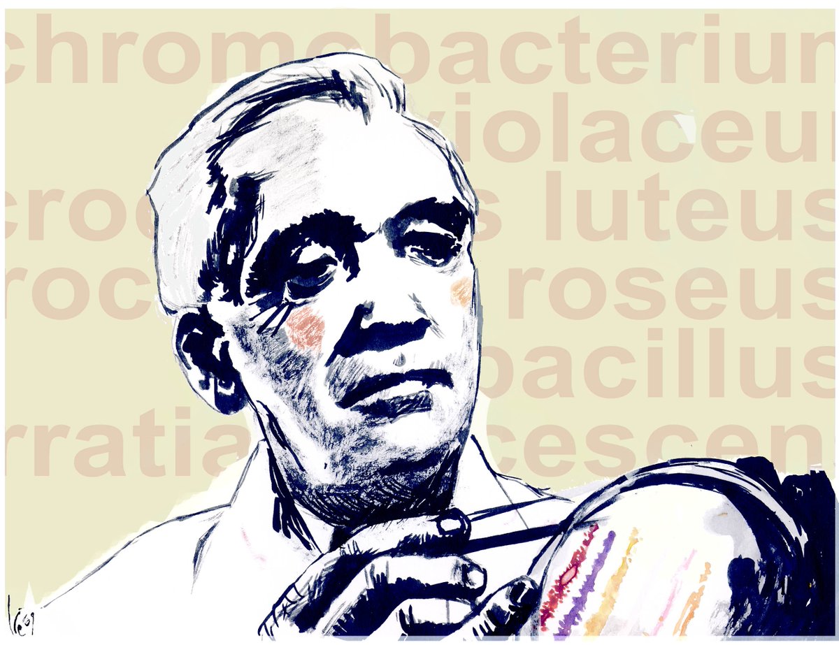 agencia_sinc's tweet photo. Tal día como hoy en 1955 moría Alexander Fleming, el médico escocés que, gracias a los mocos de un estornudo, descubrió la penicilina https://t.co/BoxAWlcTPR https://t.co/7UK6BJpe0o