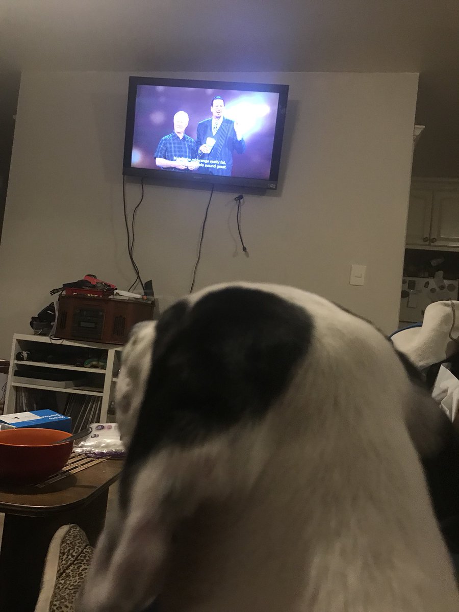 flawercastell's tweet photo. My dog loves penn and teller ❤️ https://t.co/Pv6xeU4zYd