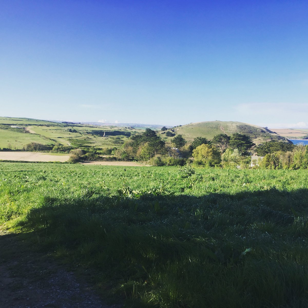 Not long until season 2018 kicks off! Chefs hope you all ready for these little beauty’s on your plate. 🌱🌱