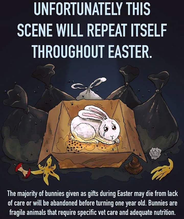 graemhoek's tweet photo. #NotAnEasterToy https://t.co/ptu9OKnAx1
