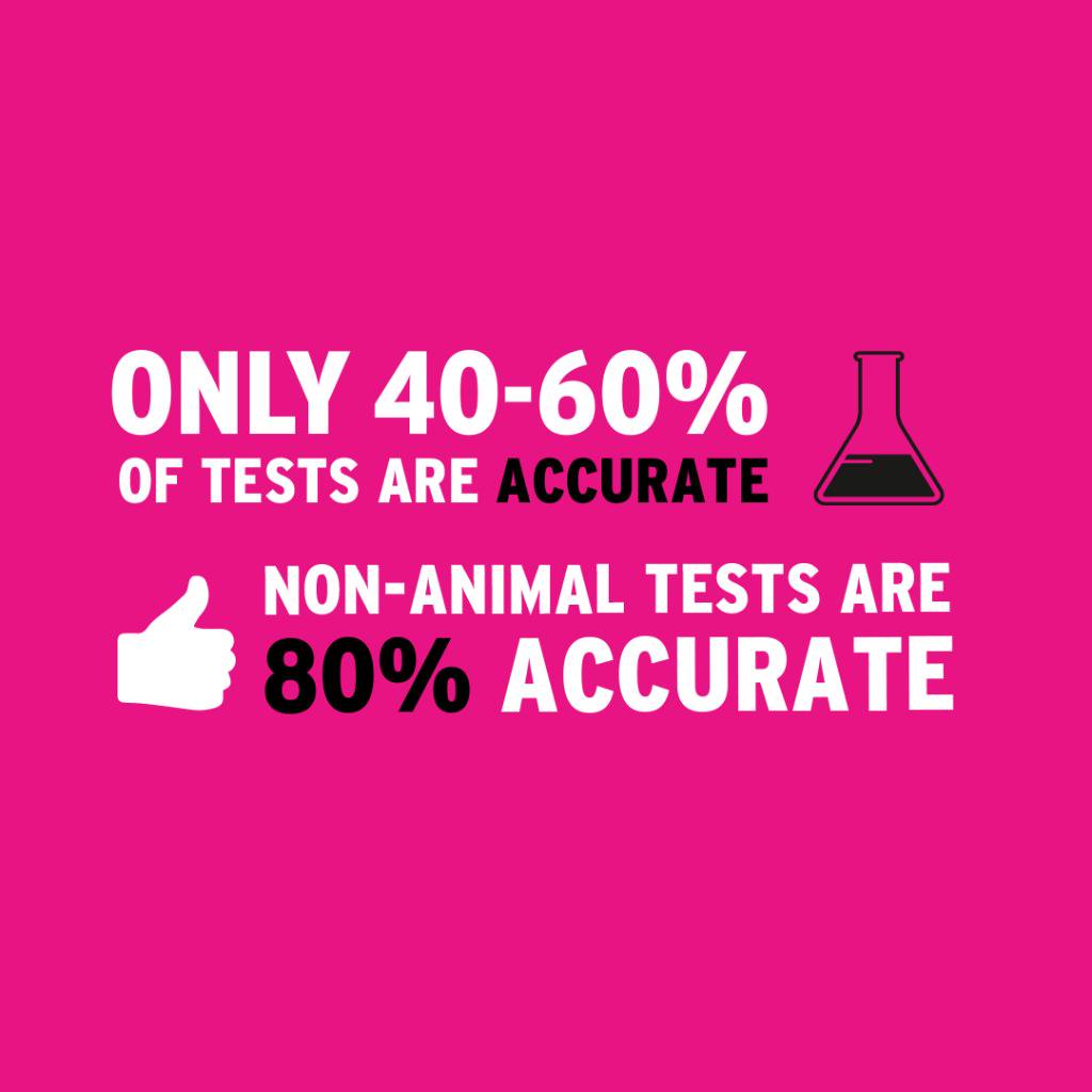 TheBodyShop's tweet photo. #FridayFact: animal testing alternatives do exist, and they're quicker, cheaper and more accurate! Help us tell the UN that animal testing in cosmetics is completely unnecessary and we need a global ban. https://t.co/uSTkU5j6dJ #ForeverAgainstAnimalTesting 🐰❣️ https://t.co/TRW1JwRTvX