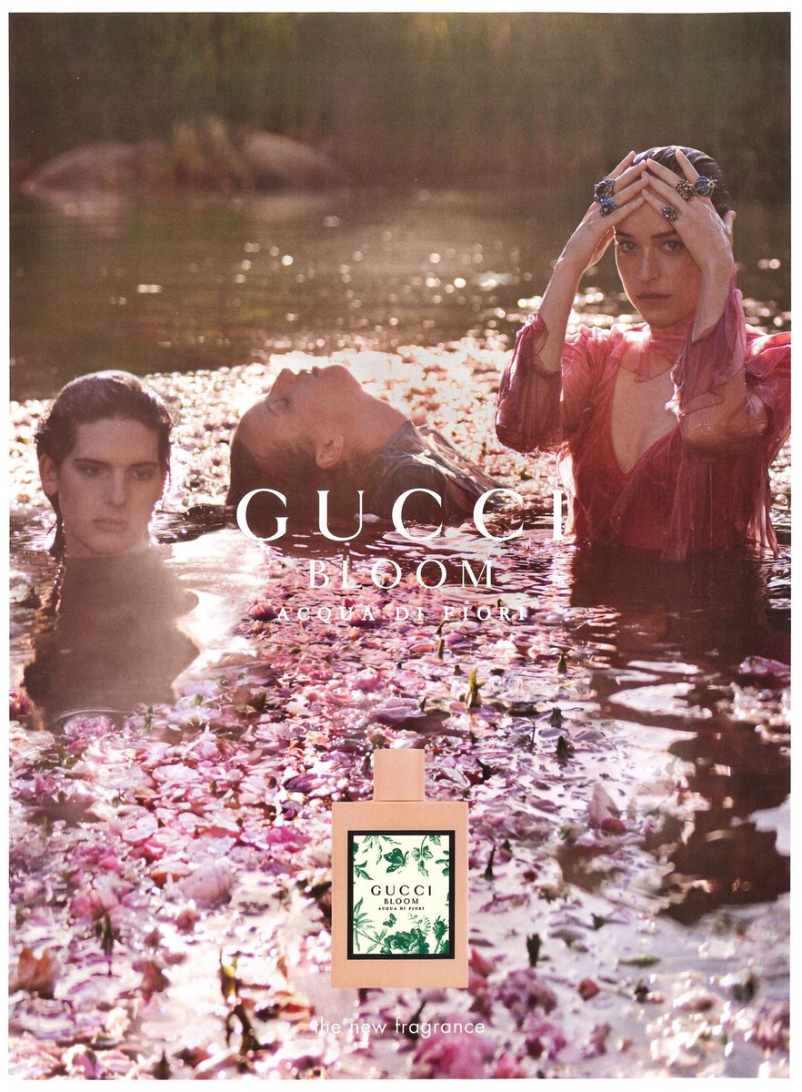 nurplj's tweet photo. "Bloom Acqua Di Fiori es nítida,limpia y refrescante,con una mezcla de flores blancas,hojas de galbano,Cassis, almizcle y sándalo" #VogueUK a puesto el nuevo perfume de Dakota y Gucci como uno de los 10 mejores de la primavera👏ORGULLOSA de mi REINA😘 #DakotaJohnson #MuseGucci https://t.co/iHJUo8DcK8