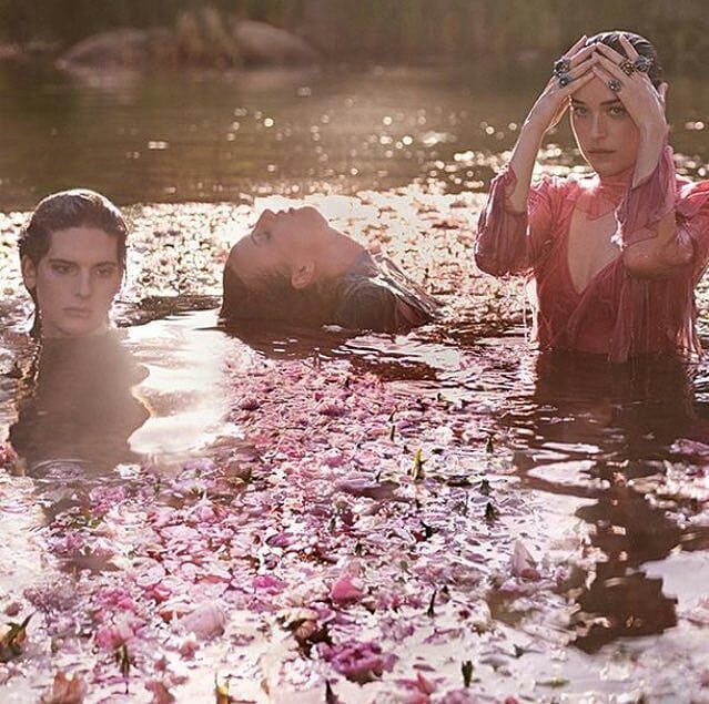 nurplj's tweet photo. "Bloom Acqua Di Fiori es nítida,limpia y refrescante,con una mezcla de flores blancas,hojas de galbano,Cassis, almizcle y sándalo" #VogueUK a puesto el nuevo perfume de Dakota y Gucci como uno de los 10 mejores de la primavera👏ORGULLOSA de mi REINA😘 #DakotaJohnson #MuseGucci https://t.co/iHJUo8DcK8
